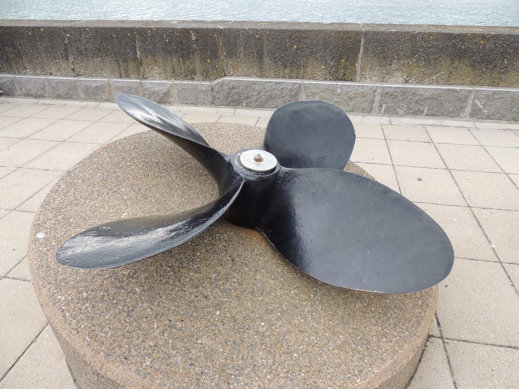DSCN8521.JPG