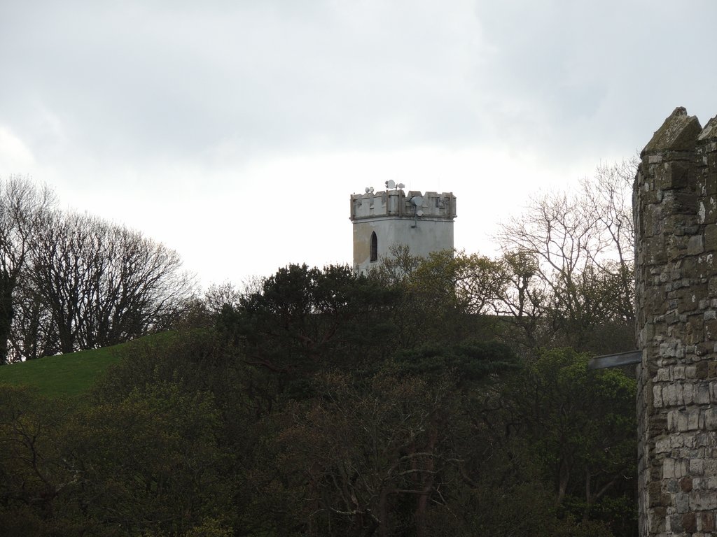 DSCN8554.JPG