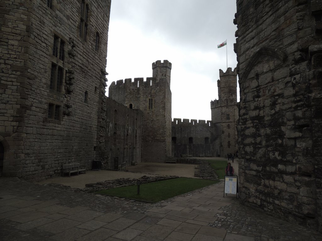 DSCN8608.JPG