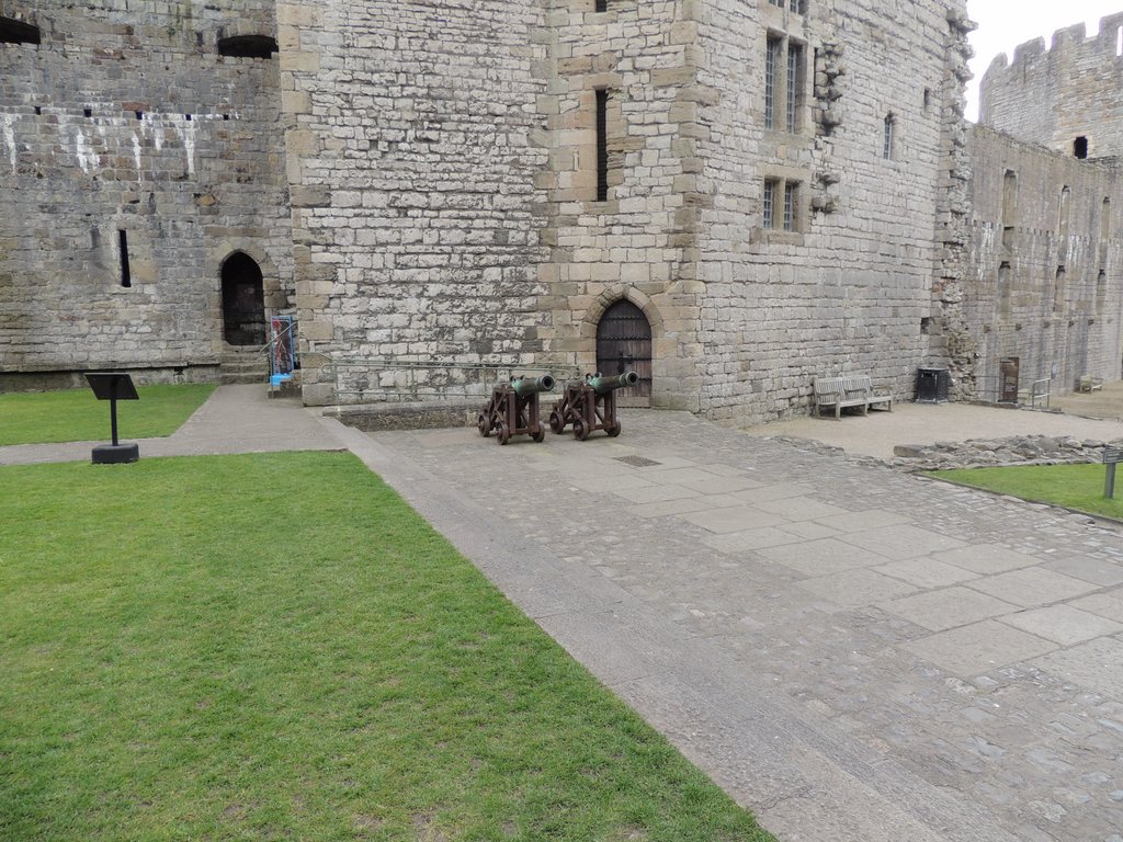 DSCN8610.JPG