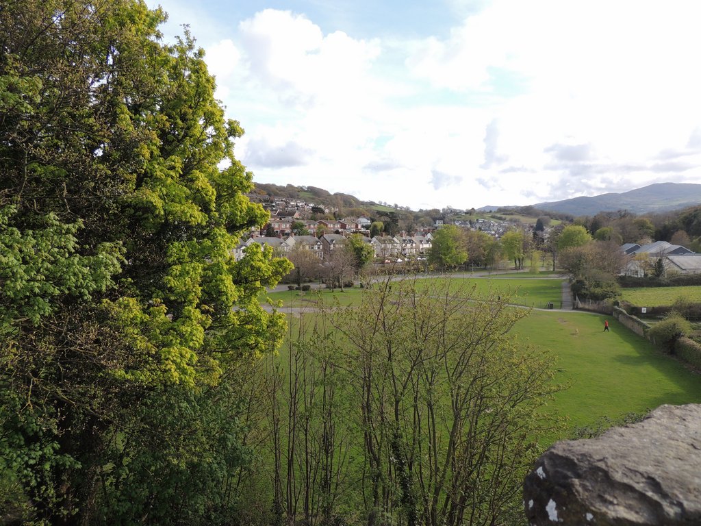 DSCN8611.JPG