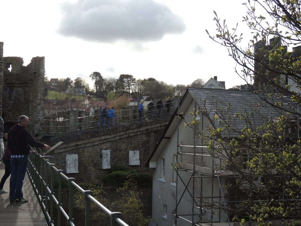 DSCN8615.JPG