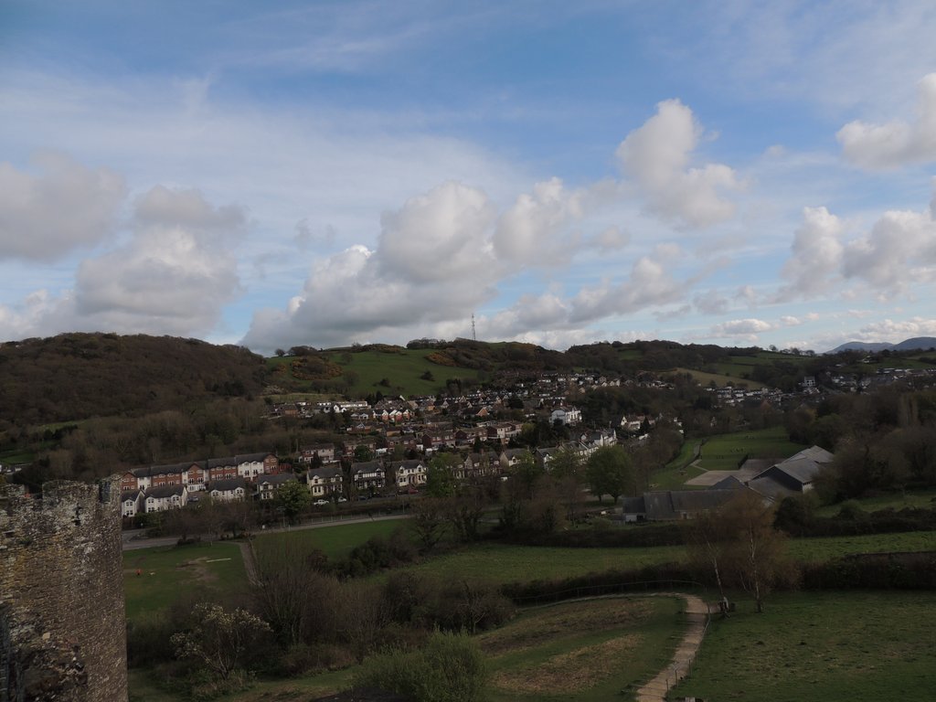 DSCN8621.JPG
