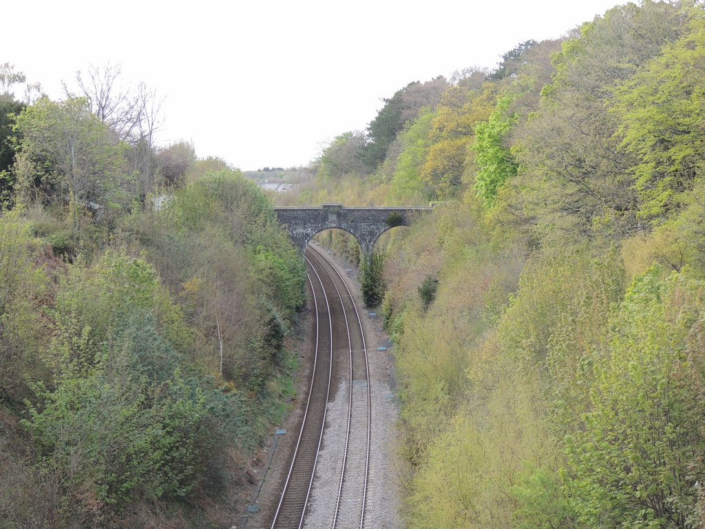 DSCN8634.JPG