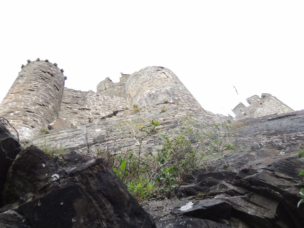 DSCN8652.JPG