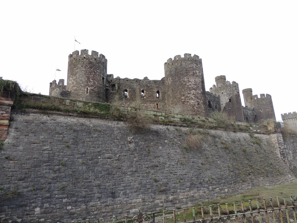DSCN8657.JPG