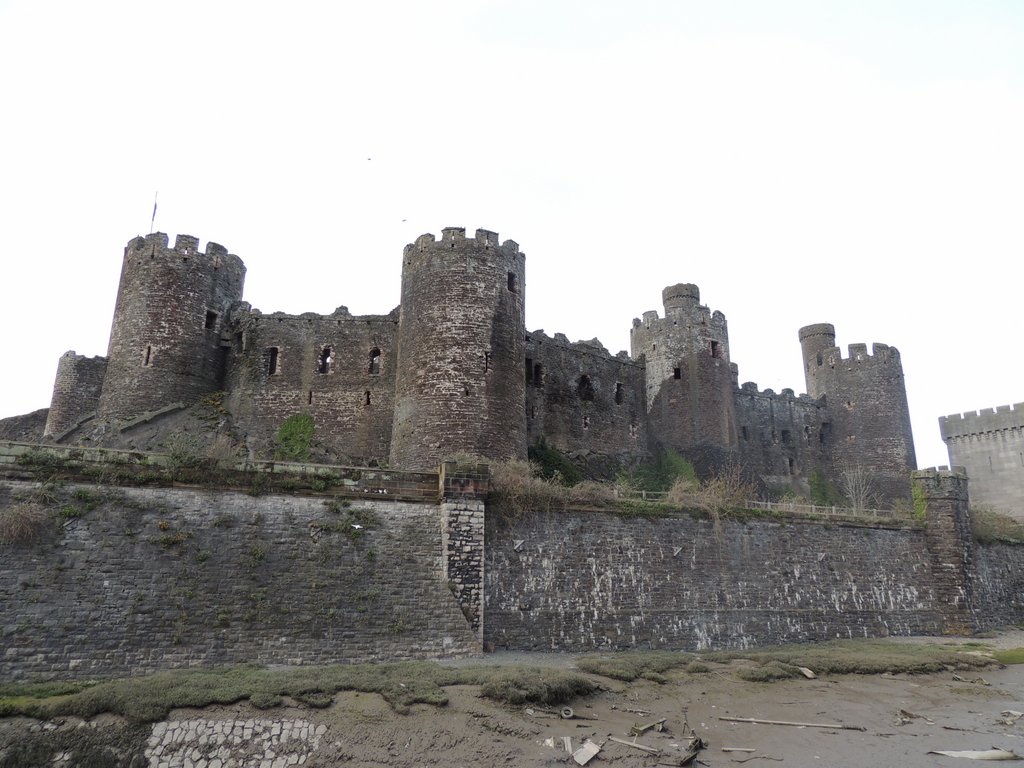 DSCN8658.JPG