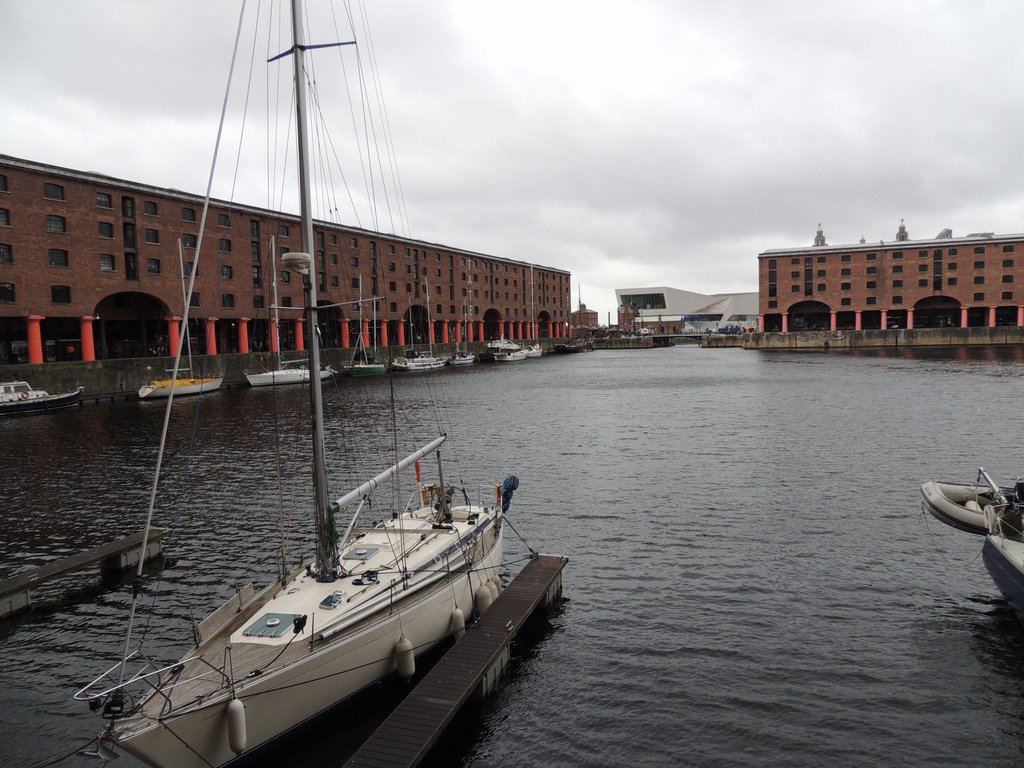 DSCN8678.JPG