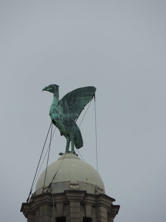 DSCN8693.JPG