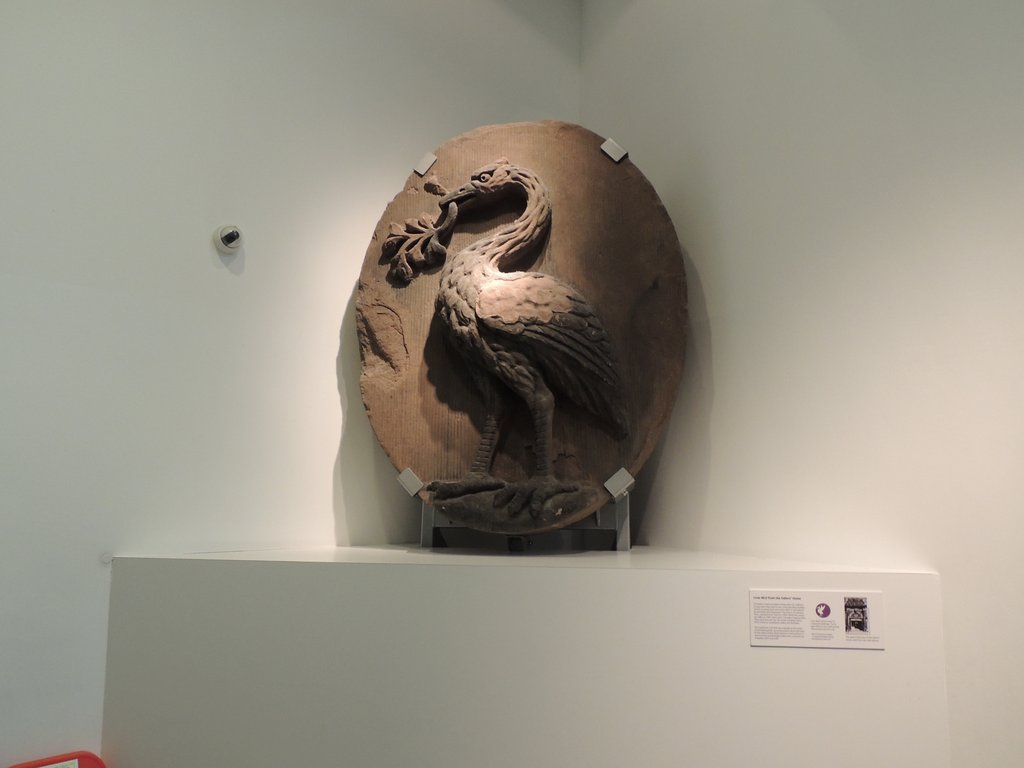 DSCN8699.JPG