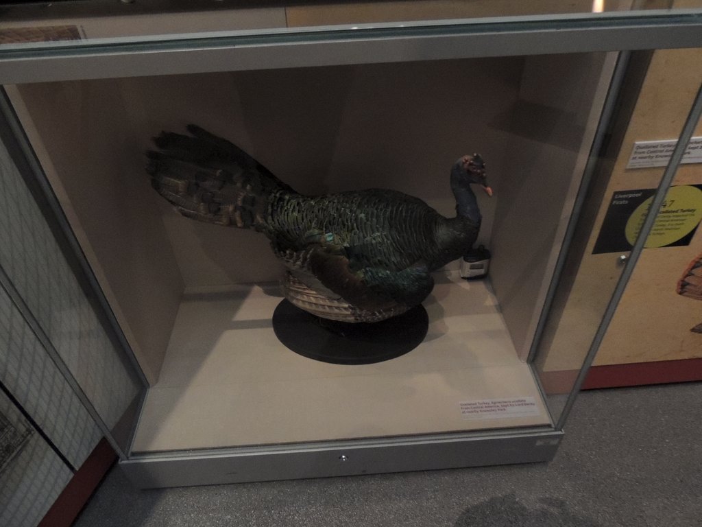 DSCN8710.JPG