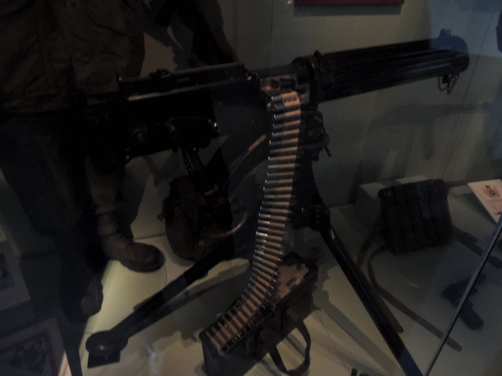 DSCN8727.JPG
