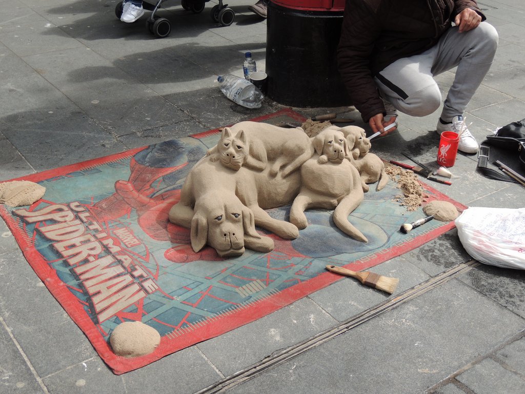 DSCN8814.JPG