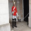 DSCN8193.JPG