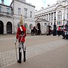 DSCN8203.JPG
