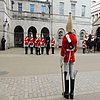 DSCN8211.JPG
