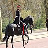 DSCN8216.JPG