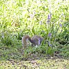 DSCN8228.JPG
