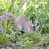 DSCN8229.JPG