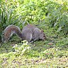 DSCN8230.JPG