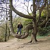 DSCN8442.JPG