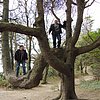 DSCN8444.JPG