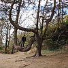 DSCN8445.JPG