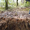 DSCN8450.JPG