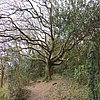 DSCN8451.JPG