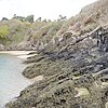 DSCN8458.JPG