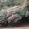 DSCN8467.JPG