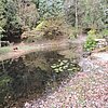 DSCN8470.JPG