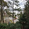 DSCN8478.JPG