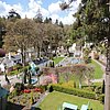 DSCN8505.JPG