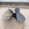 DSCN8521.JPG