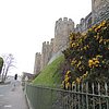 DSCN8651.JPG