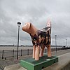 DSCN8685.JPG