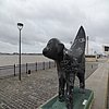 DSCN8688.JPG