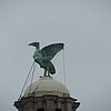 DSCN8693.JPG