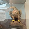 DSCN8697.JPG