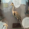 DSCN8698.JPG