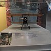 DSCN8708.JPG