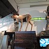 DSCN8712.JPG