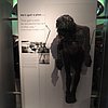 DSCN8759.JPG