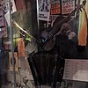 DSCN8763.JPG