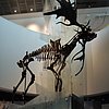DSCN8801.JPG