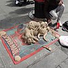 DSCN8814.JPG